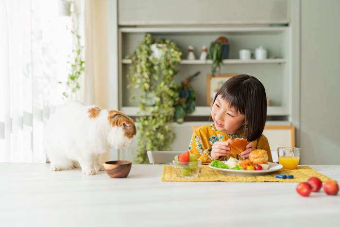 女の子と猫