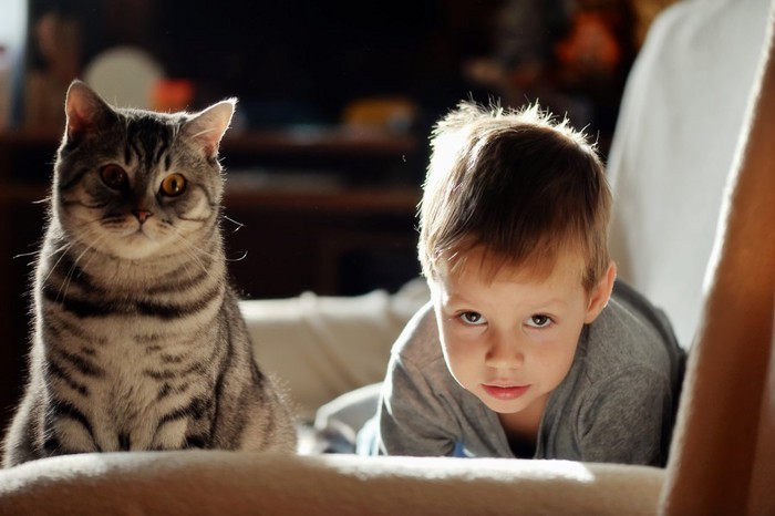 子供の隣にいる猫