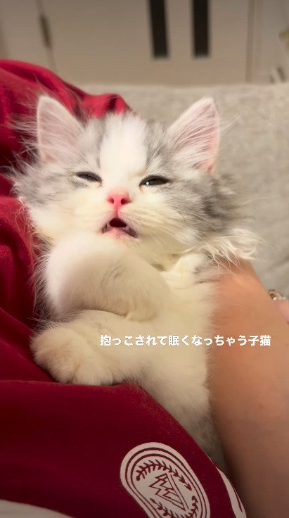 目を細めながら小さく口を開けるてん君