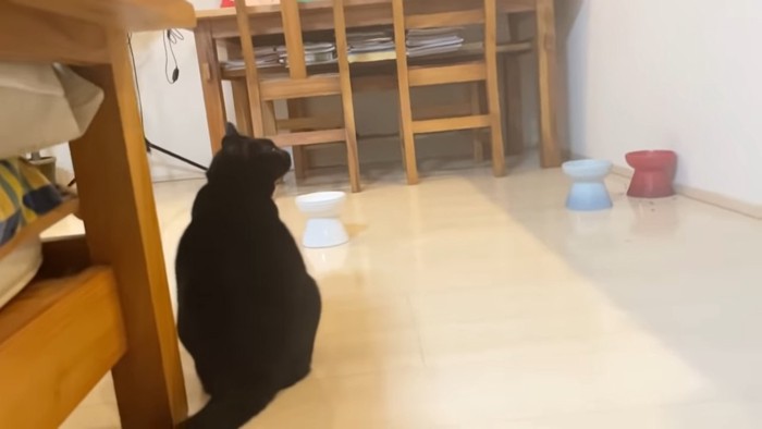 座る黒猫