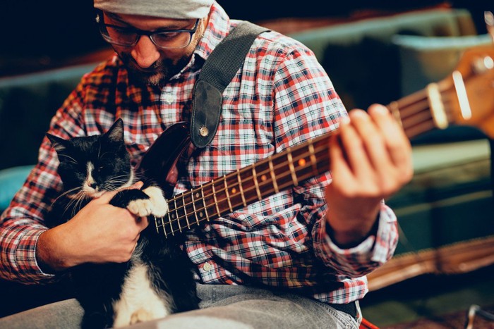 猫を抱きながらベースを奏でる男性