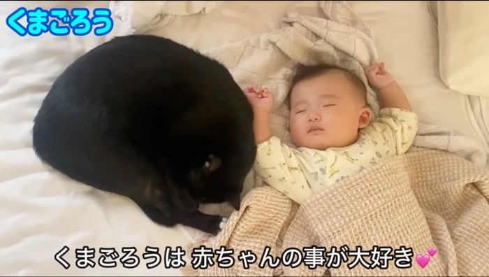 赤ちゃんの隣で眠る黒猫