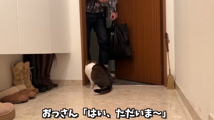 ドアの前にいる猫