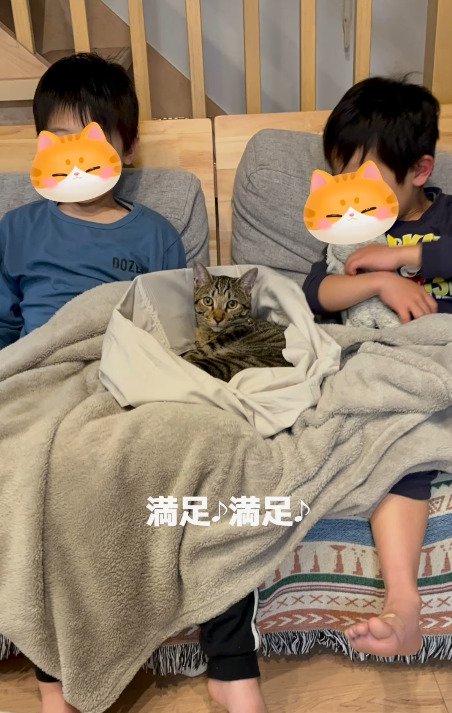 子供に挟まれる猫