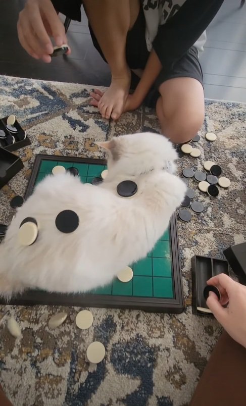 飽きた