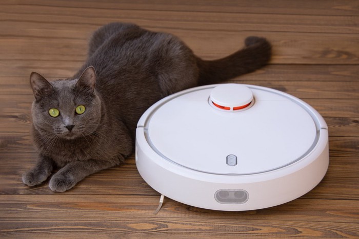 ロボットの横にいる猫