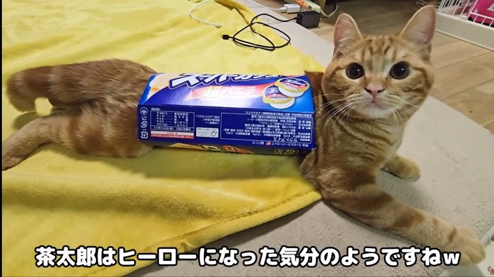 ヒーローになった気分