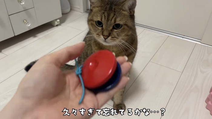 「久々すぎて...」のテロップ写真1