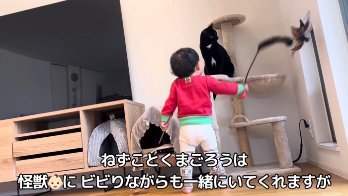 テロップ「ねずことくまごろうは～」