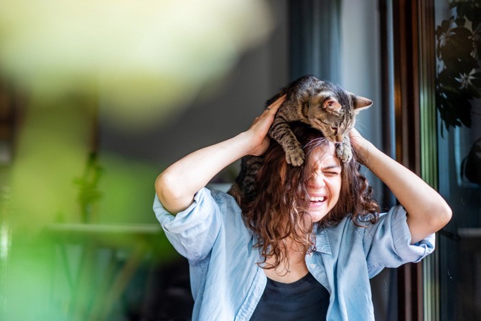 女性の頭の上に乗っかる猫