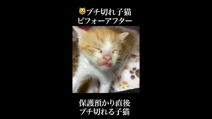 目を瞑った表情
