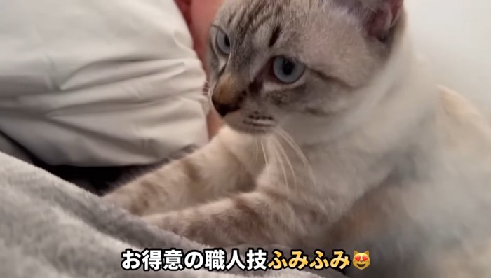 ふみふみ
