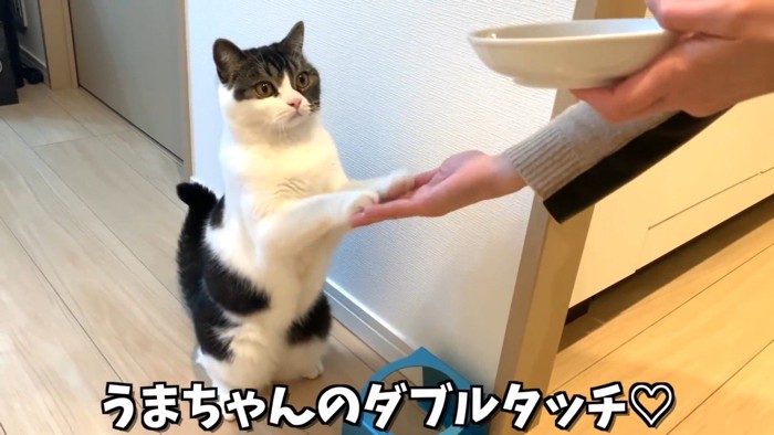 ダブルタッチ