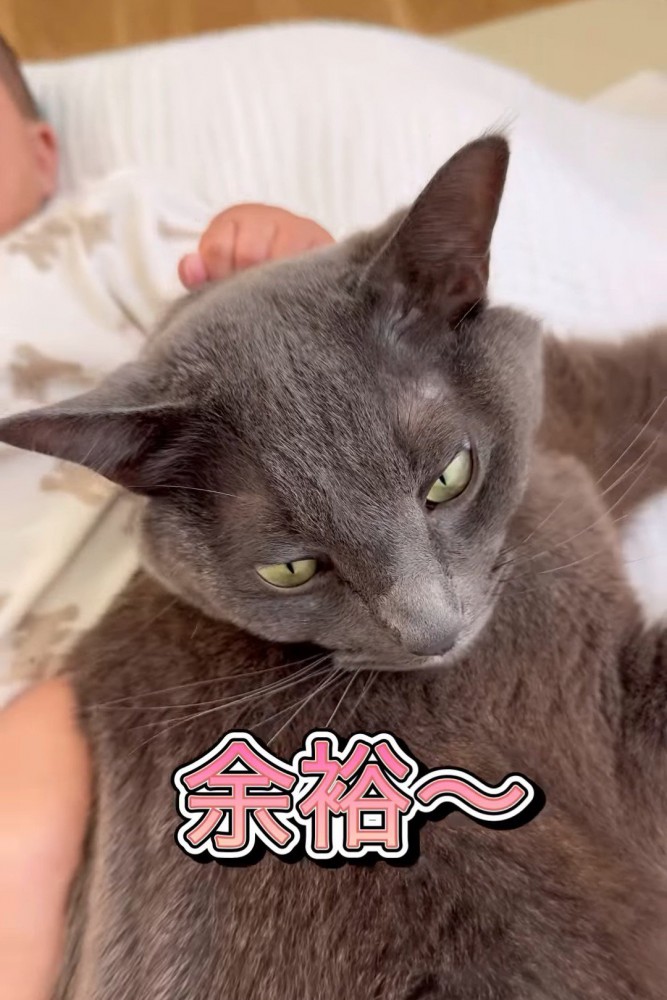 赤ちゃんに掴まれる猫