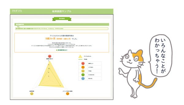 測定結果と猫