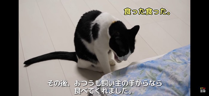 少し落ち着く