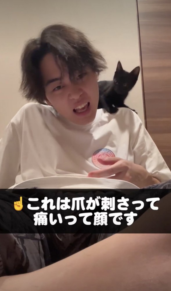 爪を刺す黒猫と痛い飼い主