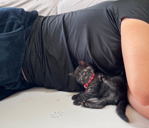 パパの腕の中に入り込んだ猫