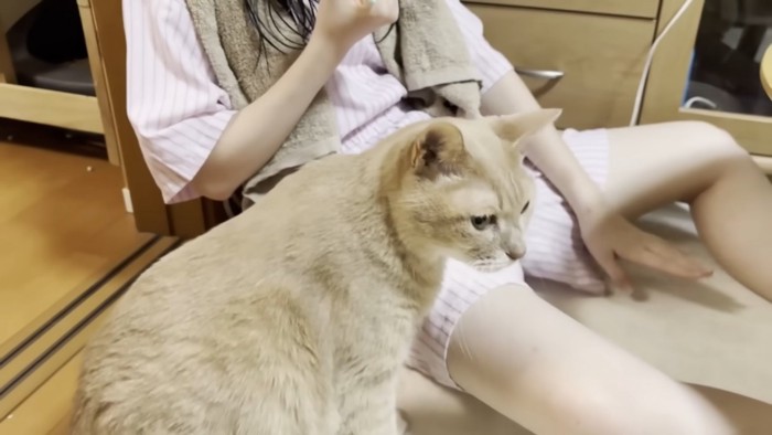 猫ちゃんと娘さん