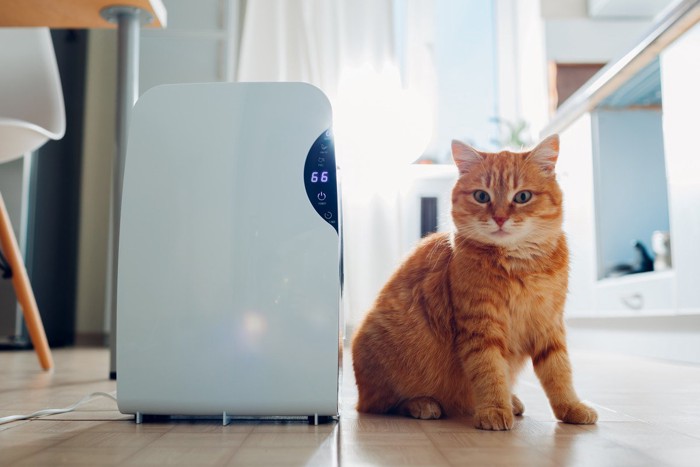 除湿機の横にいる猫