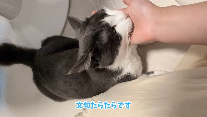 テロップ「文句たらたらです」
