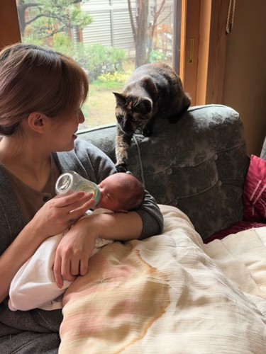 ミルクを飲む赤ちゃんに近づく猫