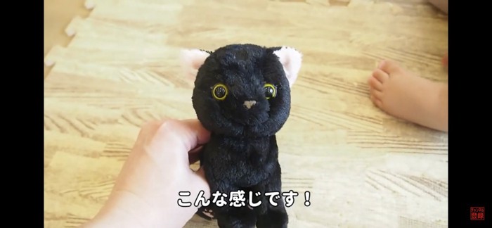 保護された猫のぬいぐるみ