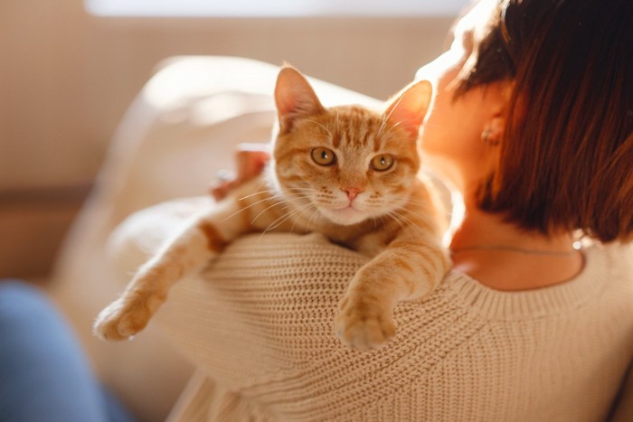 女性に抱かれる猫