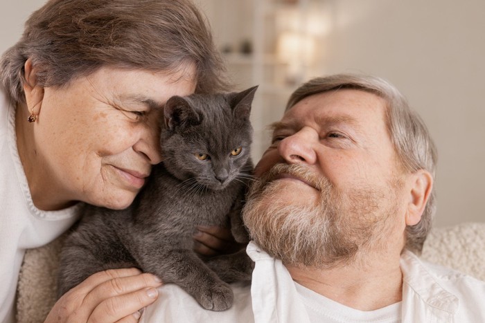 女性と猫と男性