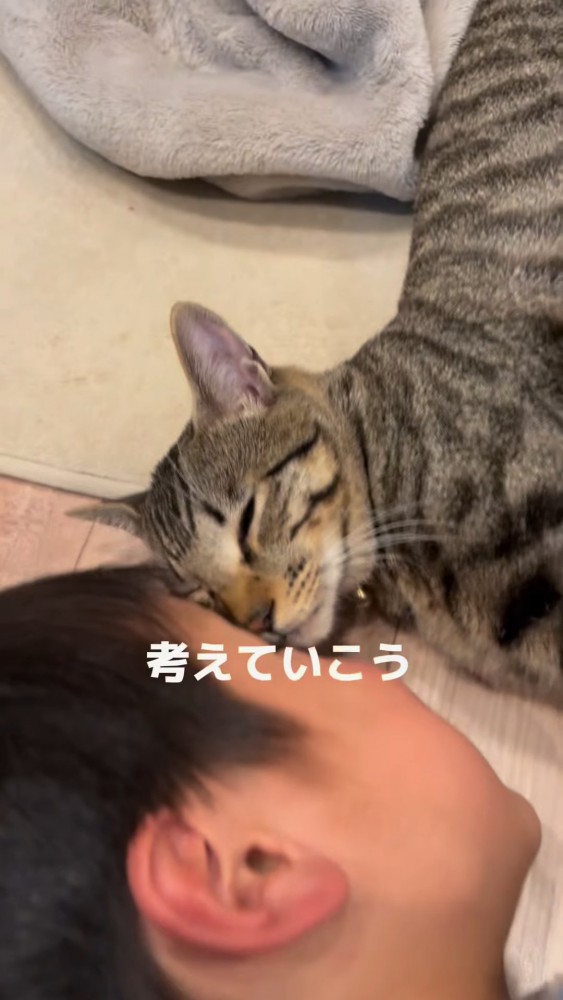 顔を寄せ合う猫とこども