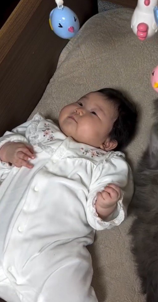 ベッドの上に吊されたおもちゃを見ながら腕を動かす赤ちゃん