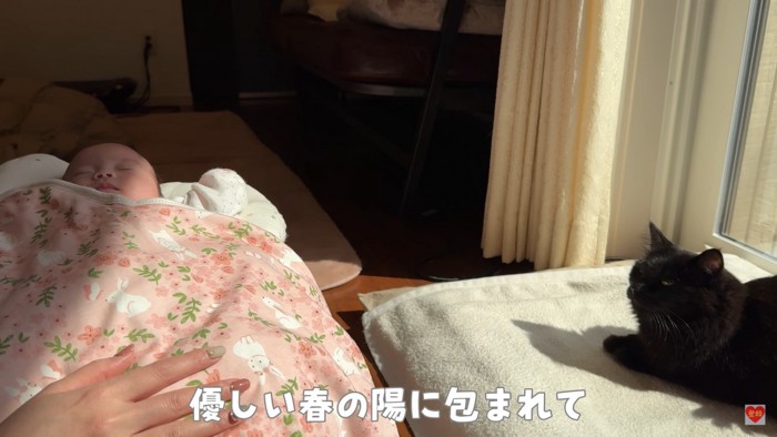 赤ちゃんと猫の日向ぼっこ