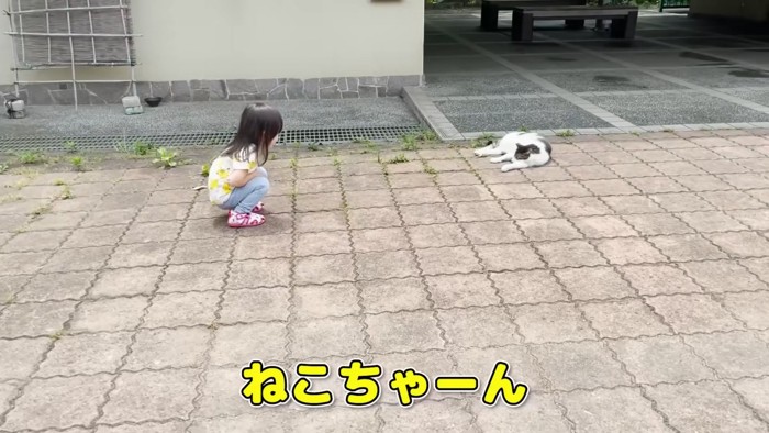 しゃがんで猫を呼ぶ女の子