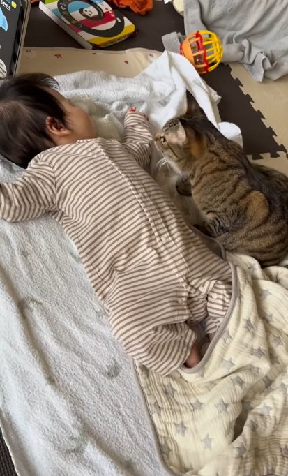 寝ている赤ちゃんのそばにきて赤ちゃんの顔を見る猫