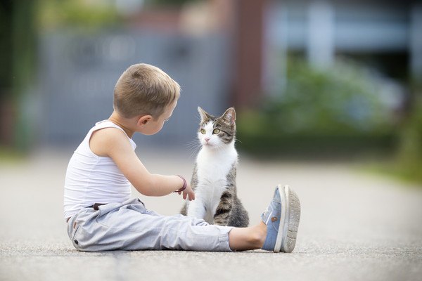 子どもと猫