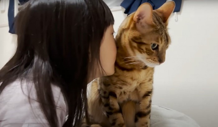 猫の首に顔を近づける女の子