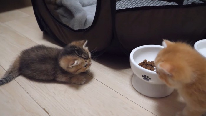 向き合うふたり