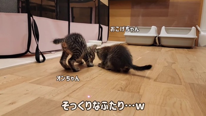 そっくりなふたり