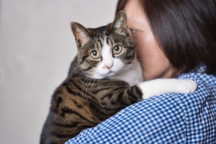 抱っこされる猫