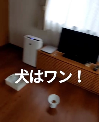 部屋の中