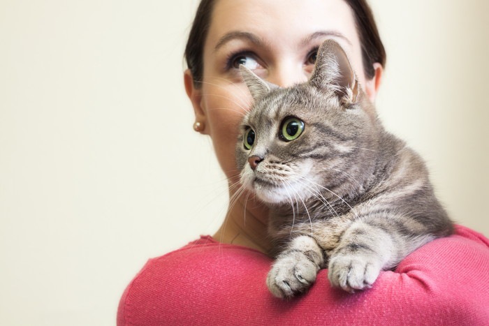 女性に抱かれるグレーの猫