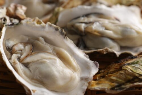 牡蠣のアップ