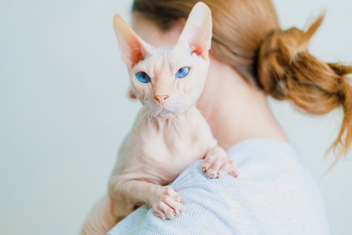 飼い主に抱っこされて肩に手を置くドンスコイ