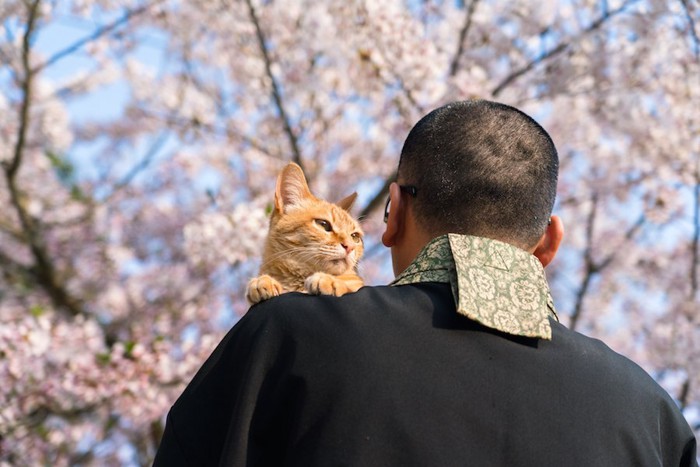 お坊さんに抱かれた猫