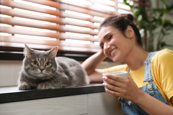 マグカップを持った女性と猫