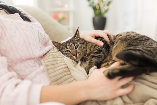 女性のお腹に乗る猫