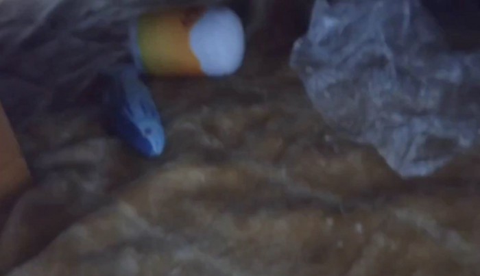 「ダイジ」がいくつか見える様子