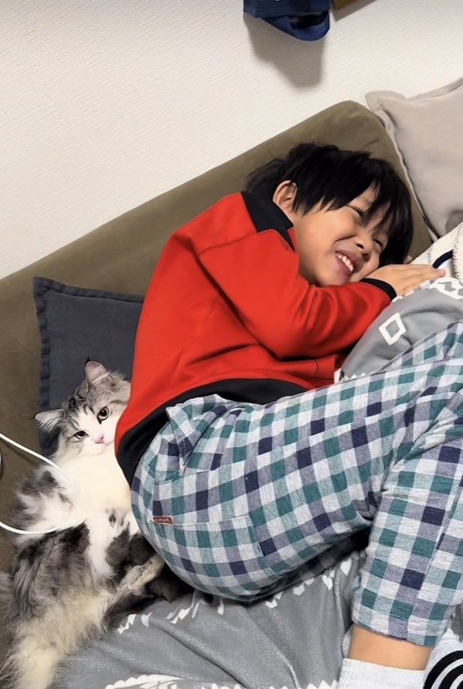 ソファに寝転がるお兄ちゃんとマンチカン