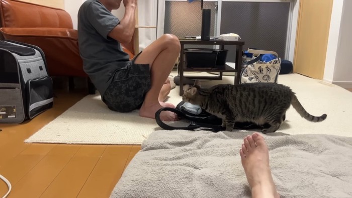 身を低くしながら