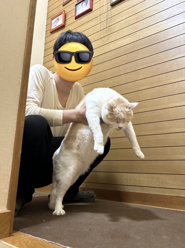 男性に脇腹を掴まれて持ち上げられる猫